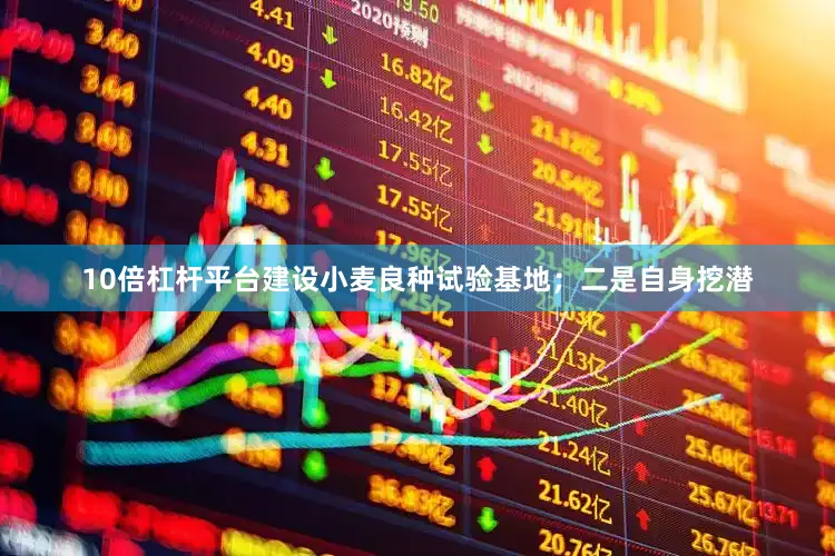 10倍杠杆平台建设小麦良种试验基地；二是自身挖潜