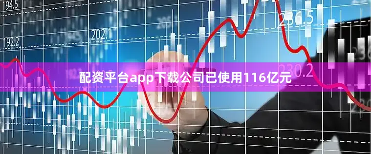 配资平台app下载公司已使用116亿元