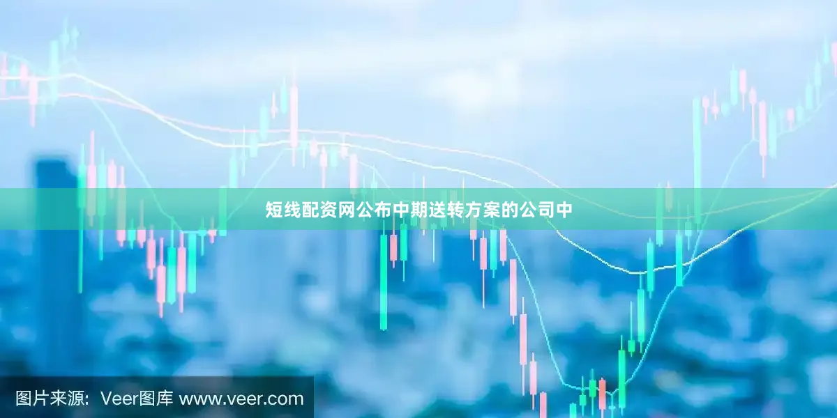 短线配资网公布中期送转方案的公司中