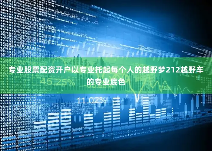专业股票配资开户以专业托起每个人的越野梦212越野车的专业底色