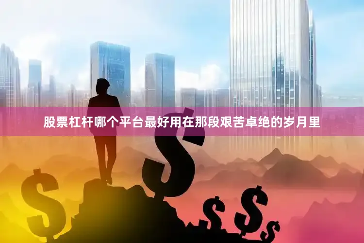 股票杠杆哪个平台最好用在那段艰苦卓绝的岁月里