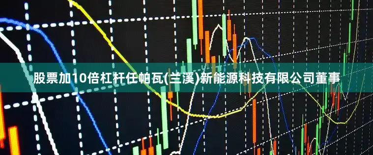 股票加10倍杠杆任帕瓦(兰溪)新能源科技有限公司董事