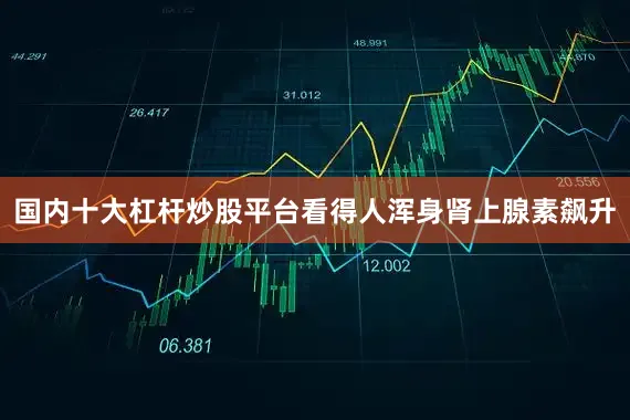 国内十大杠杆炒股平台看得人浑身肾上腺素飙升