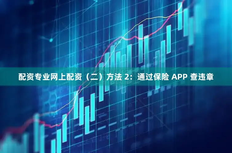 配资专业网上配资（二）方法 2：通过保险 APP 查违章